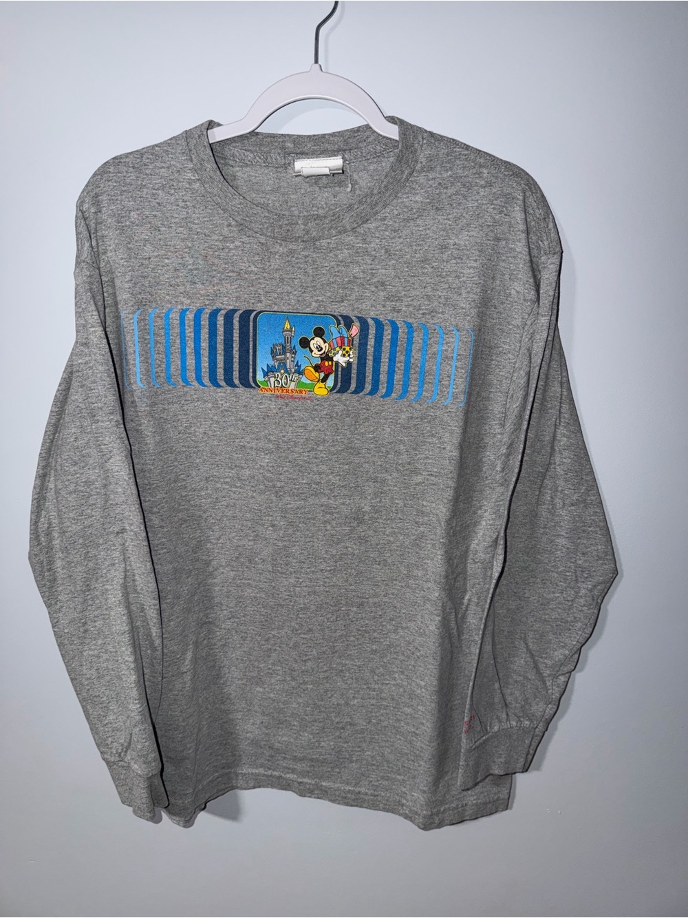 Vtg 2001 Walt Disney World 30th Anniversary Gray Long-Sleeve Crewneck t-shirt
